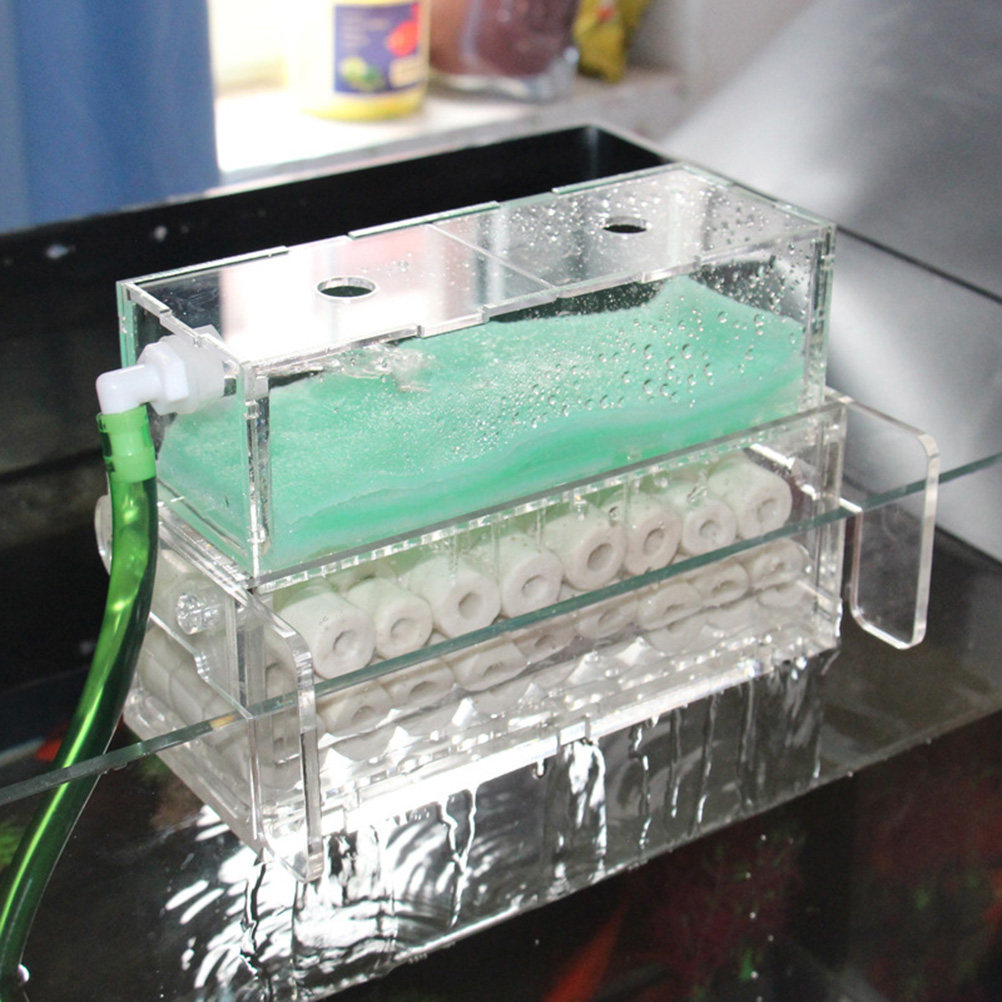 Aquarium Fish Keeping - High Quality Fish Tank Filter Box