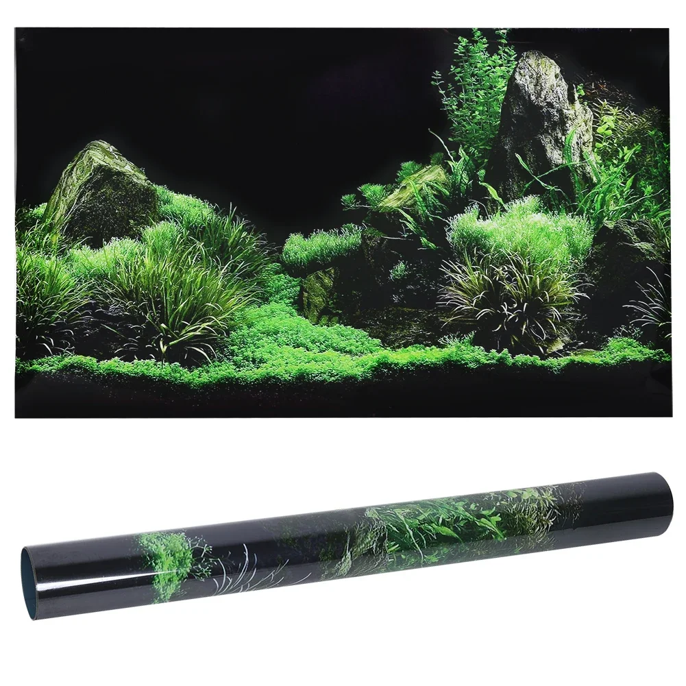 Aquarium Fish For Sale Online - Background for Aquarium 3d Sticker Poster