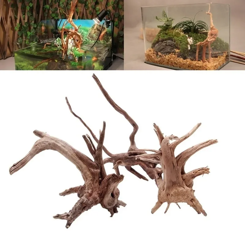 Aquarium Fish For Sale Online - Natural Tree Trunk Driftwood Aquarium Fish