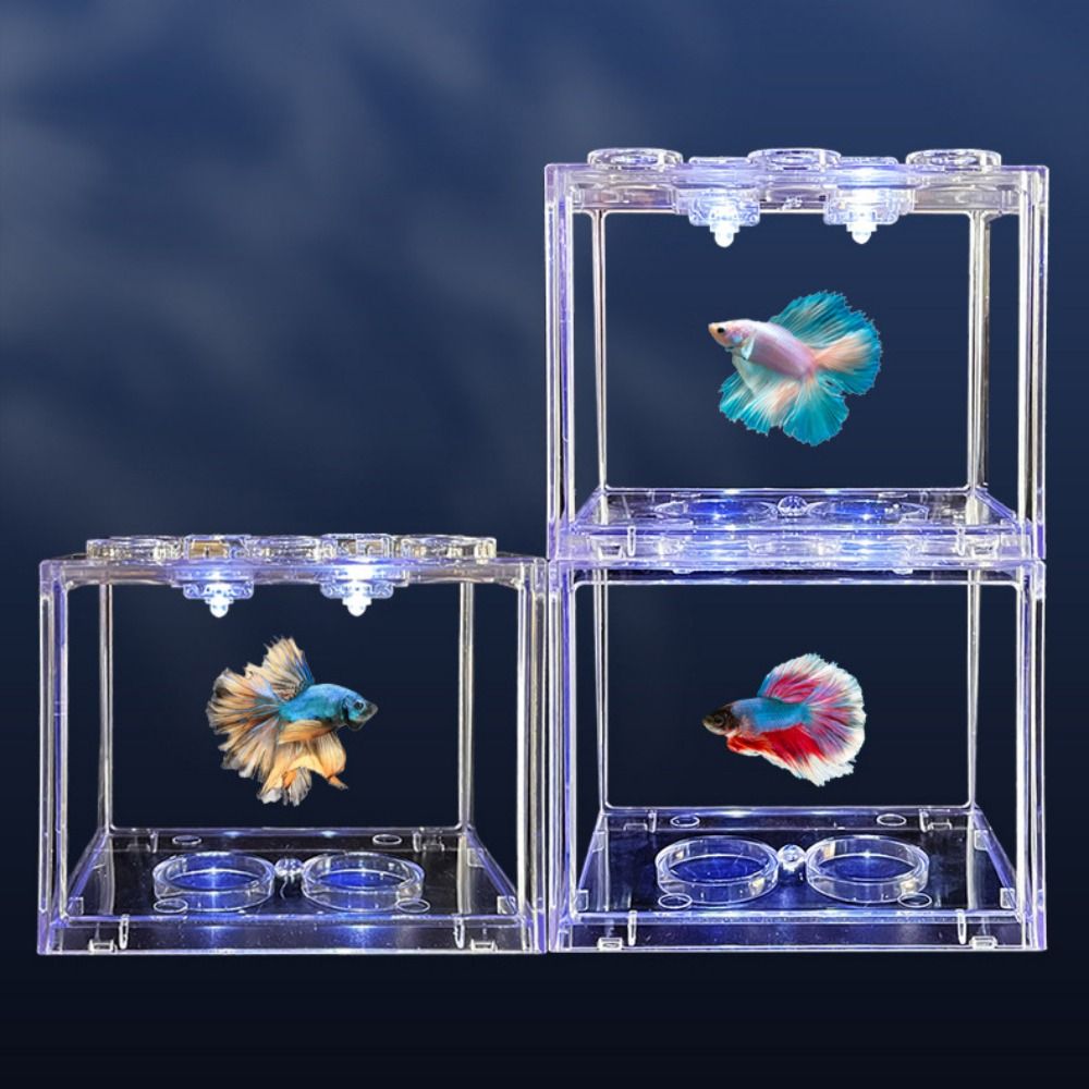 Aquarium Fish For Sale Online - Aquarium Fish Tank Lamp Control Color