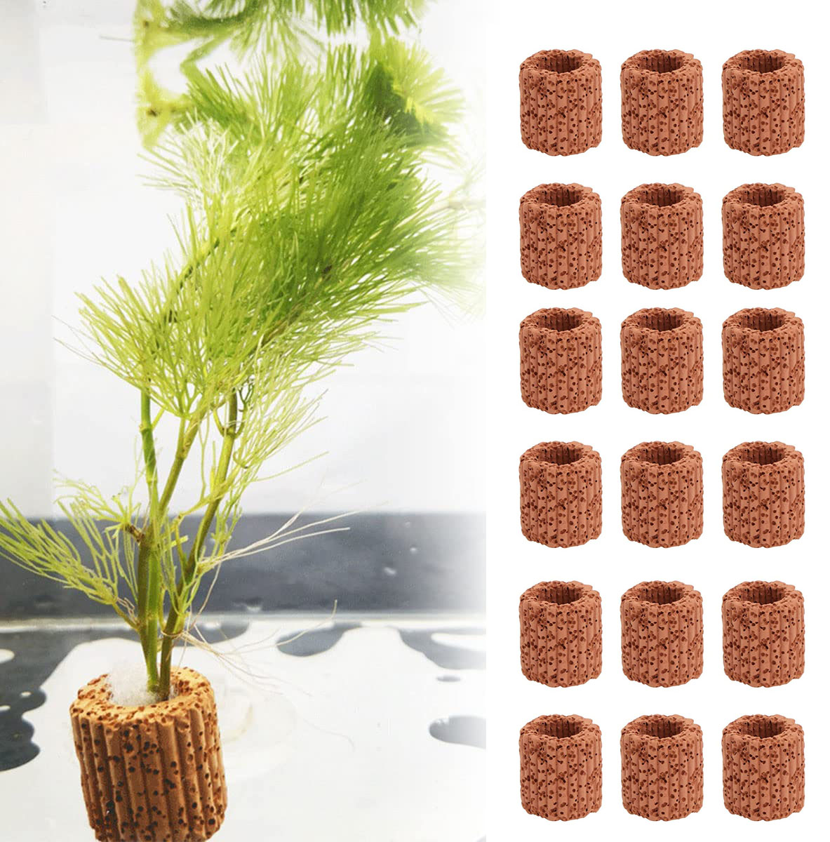 Aquarium Fish Tank Price - 10/20Pcs Aquatic Water Plant Fixed Ring