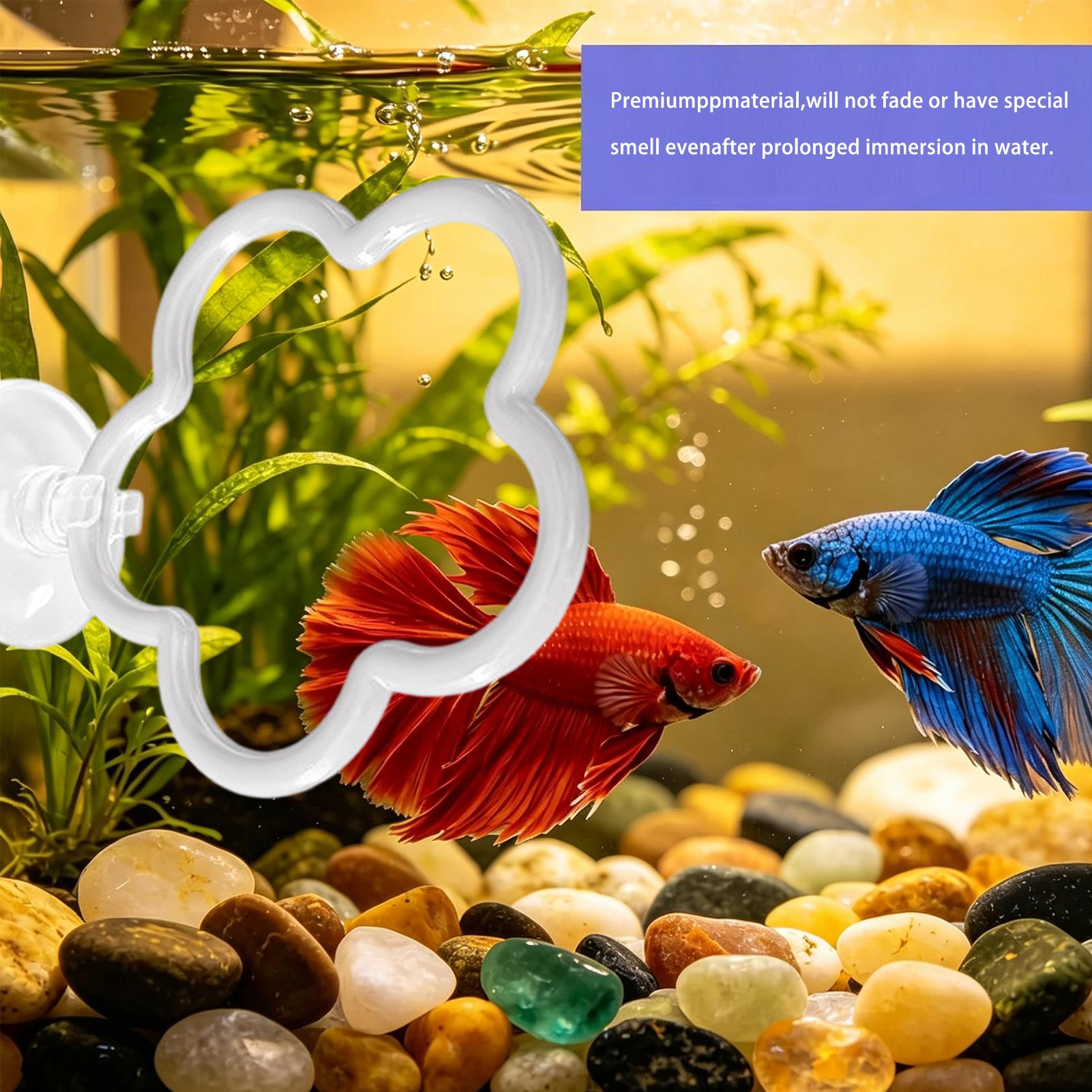 Fish Toy In Aquarium - Betta Toys For Aquarium 5 Pieces