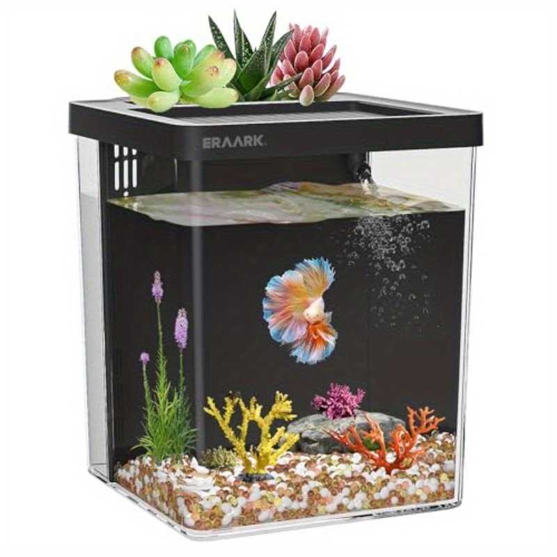 Aquarium Fish Keeping - Office/Home Desktop Aquarium With Filter Beginner