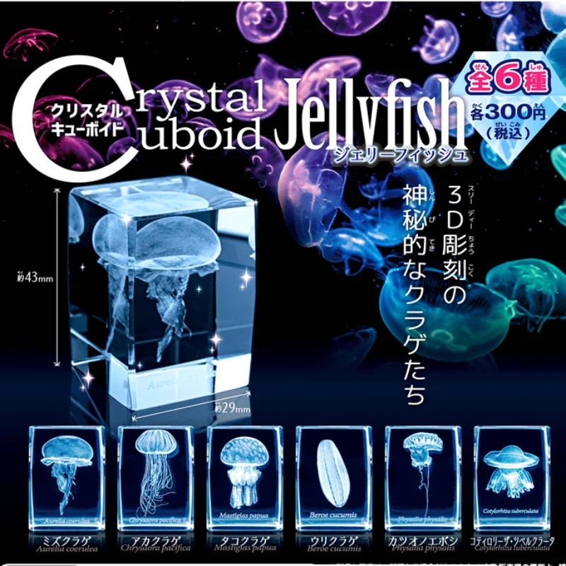 Aquarium Fish Keeping - Japan Gashapon Jellyfish 3D Crystal Cuboid