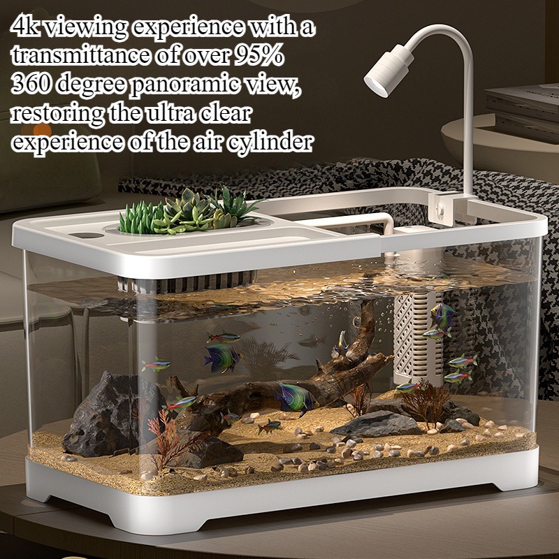 Aquarium Fish In Bowl - Fish tank household aquarium living room
