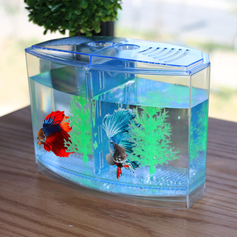 Aquarium Fish Keeping - Novel and Funny Toy Creative Fish