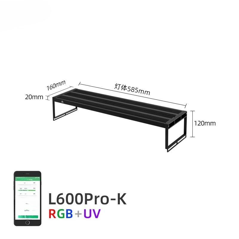 Aquarium Fish Sale - Hot Sale Aquarium Accessories Fish Tank