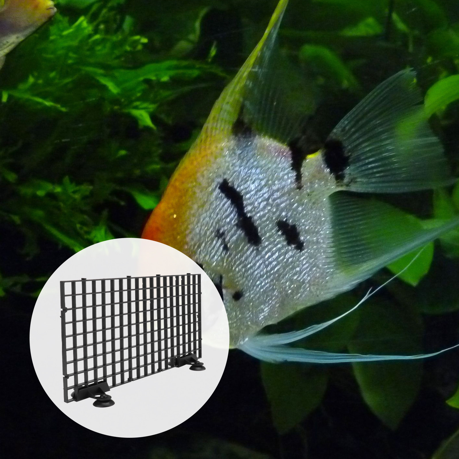 Aquarium Fish Net Big Size - Big Size Fish Breeder Net Hatchery