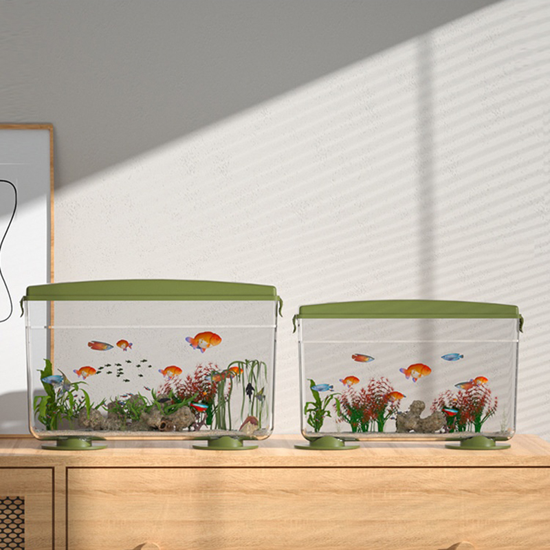 Aquarium Fish In Bowl - Small Fish Shrimps Turtle Tank PET