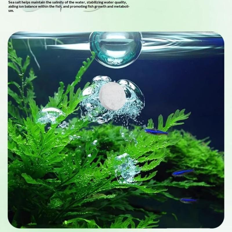 Aquarium Fish Tank Cleaner - Aquarium Algae Cleaner Tablets No Water