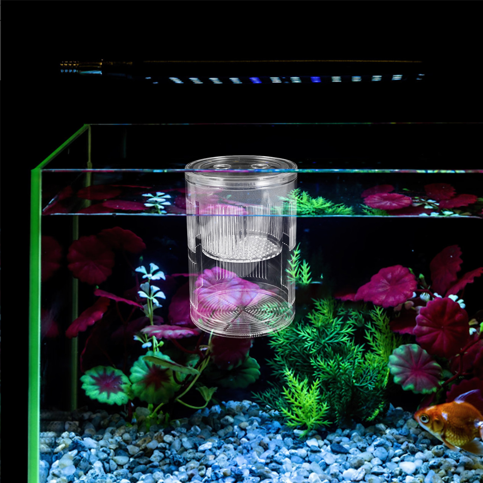 Aquarium Fish Guppy - Floating Acrylic Fish Breeding Box Aquarium