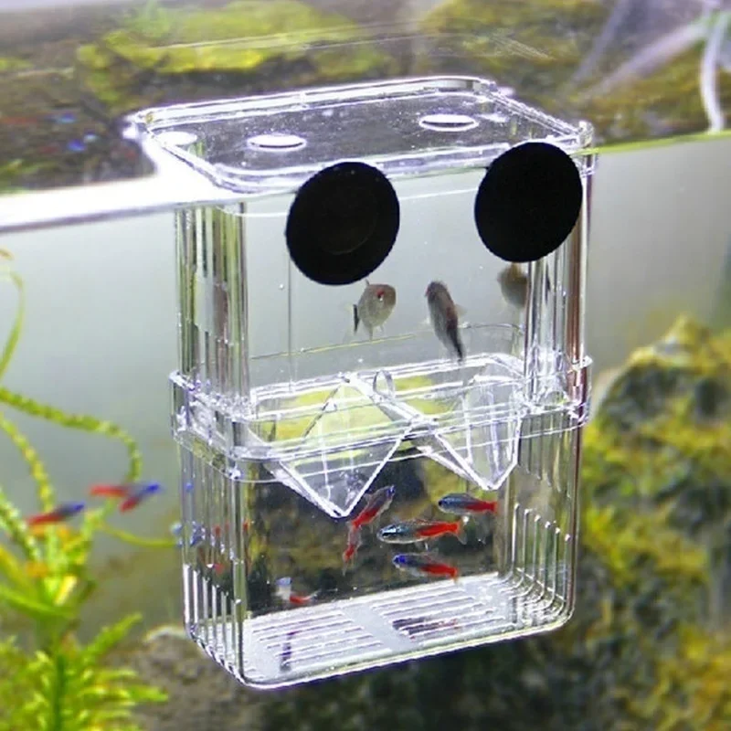 Aquarium Fish In Bowl - Multifunctional Fish Aquarium High Clear Fish