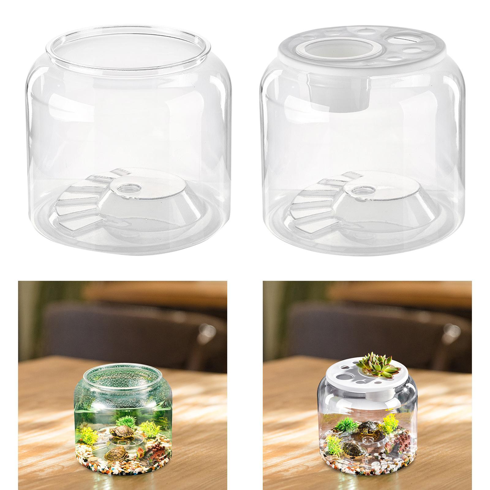 Draw Fish Aquarium - Turtle Container High Capacity Clear Table