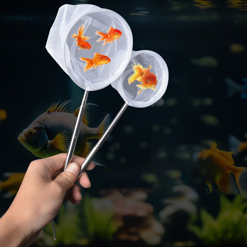 (BF06)Aquarium Fish Fishing Ne - Aquarium Fish Maintenance recension och pris
