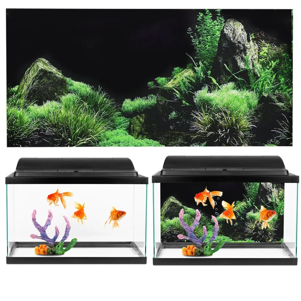 Background for Aquarium 3d Sti - Aquarium Fish For Sale Online recension och pris