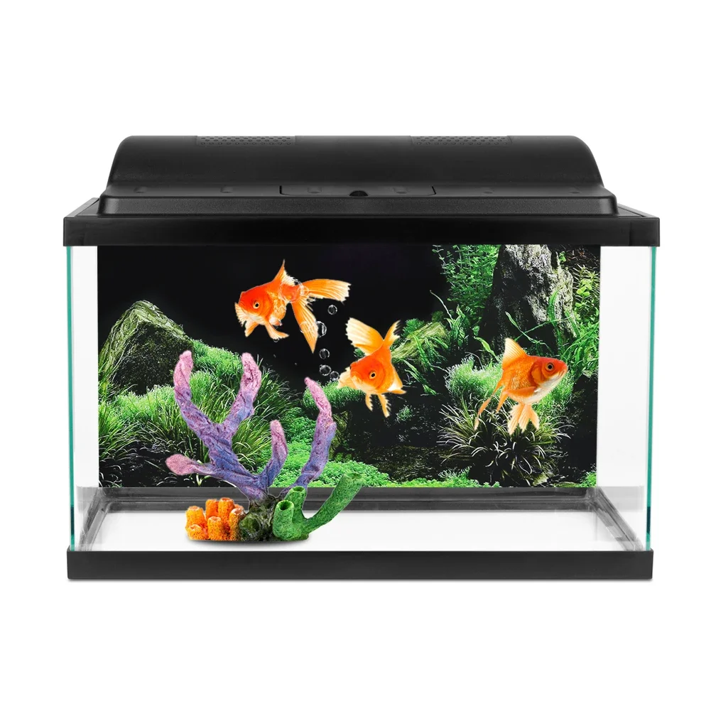 Background for Aquarium 3d Sti - Aquarium Fish For Sale Online recension och pris