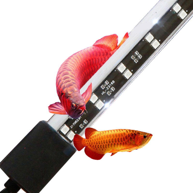 72cm 20 Watt Red Arowana Aquar - Aquarium Fish Keeping recension och pris