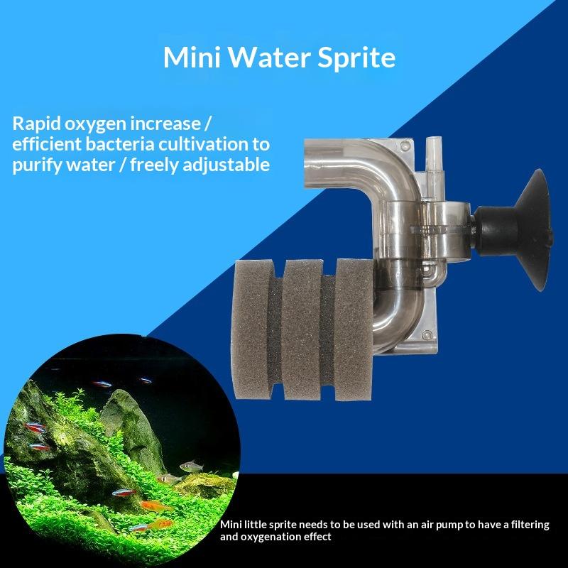 .Hot Sale-Mini Aquarium Sponge - Aquarium Fish For Sale recension och pris