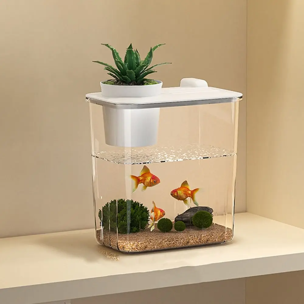 Aquarium Desktop Fish Tank Wat - Aquarium Fish In Bowl recension och pris