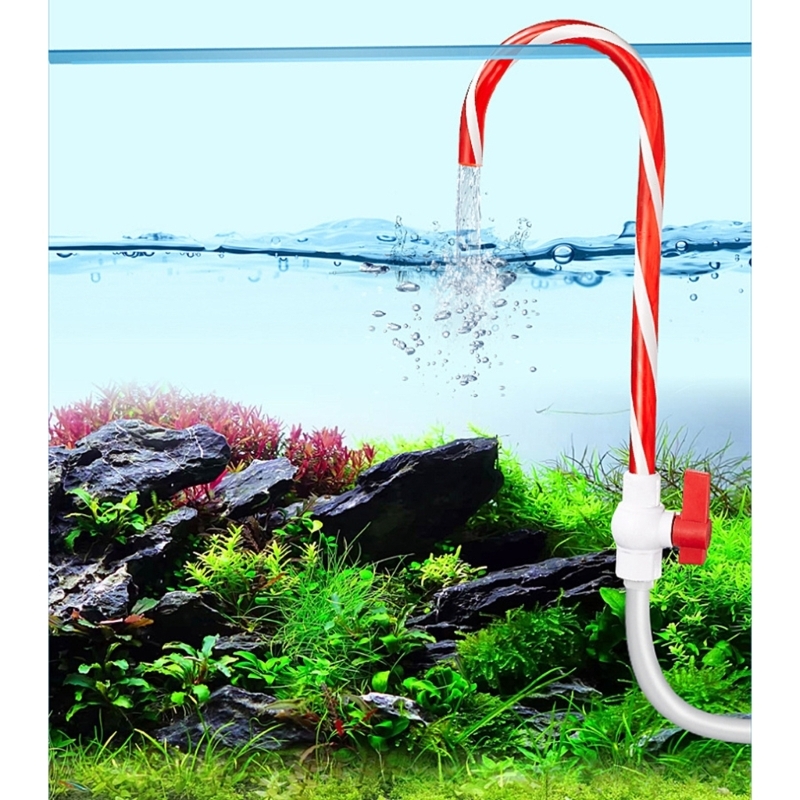  Compacts Fish Tanks Watering  - Aquarium Fish Youtube recension och pris