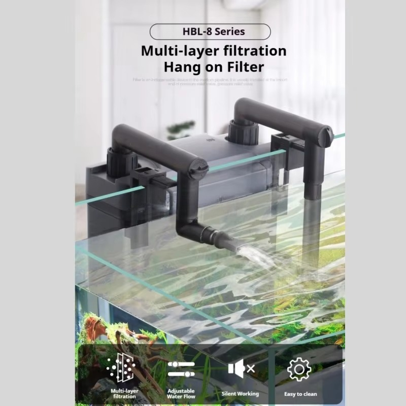 Hot Sale Professional Aquarium - Aquarium Fish For Sale recension och pris