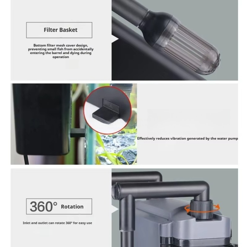 Hot Sale Professional Aquarium - Aquarium Fish For Sale recension och pris