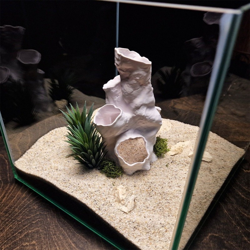 Hot Sale 3D Printed Coral Tunn - Aquarium Fish For Sale recension och pris