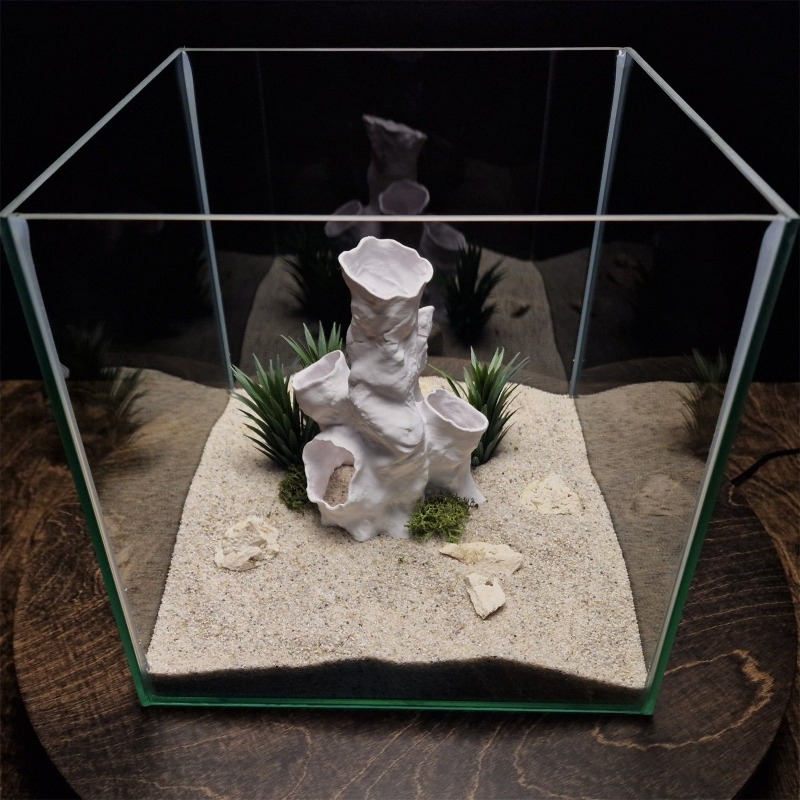 Hot Sale 3D Printed Coral Tunn - Aquarium Fish For Sale recension och pris