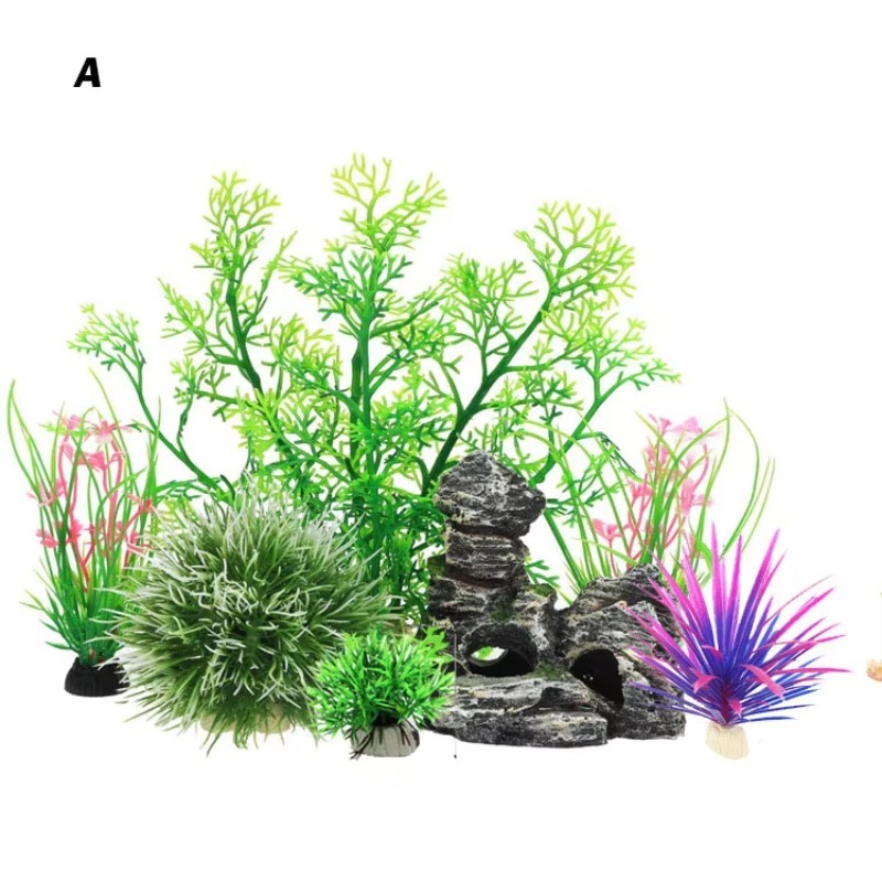 10pcs Hot Selling New Arrival  - Aquarium Fish For Sale recension och pris