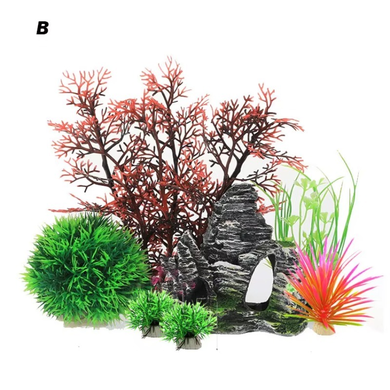 10pcs Hot Selling New Arrival  - Aquarium Fish For Sale recension och pris