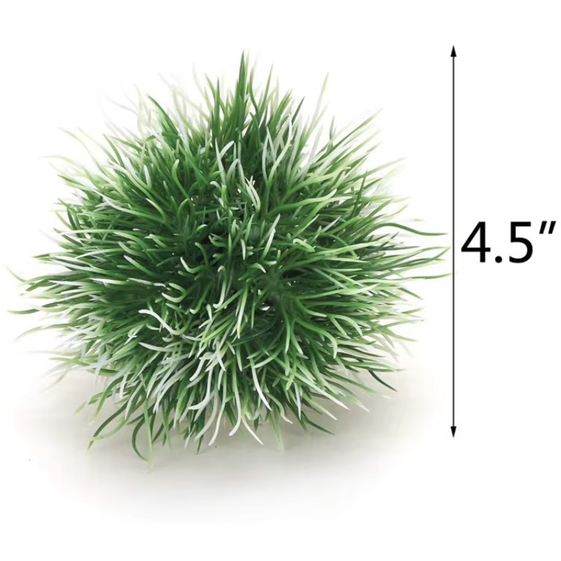 10pcs Hot Selling New Arrival  - Aquarium Fish For Sale recension och pris