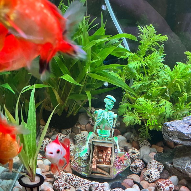 Fish Tank Aerobic Landscape Bu - Aquarium Fish For Sale Online recension och pris