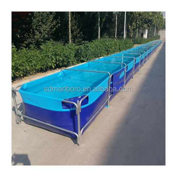 AIROW Custom Commercial High Q - Aquarium Fish For Sale recension och pris