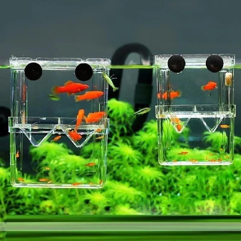 Transparent Fish Aquarium High - Aquarium Fish In Bowl recension och pris