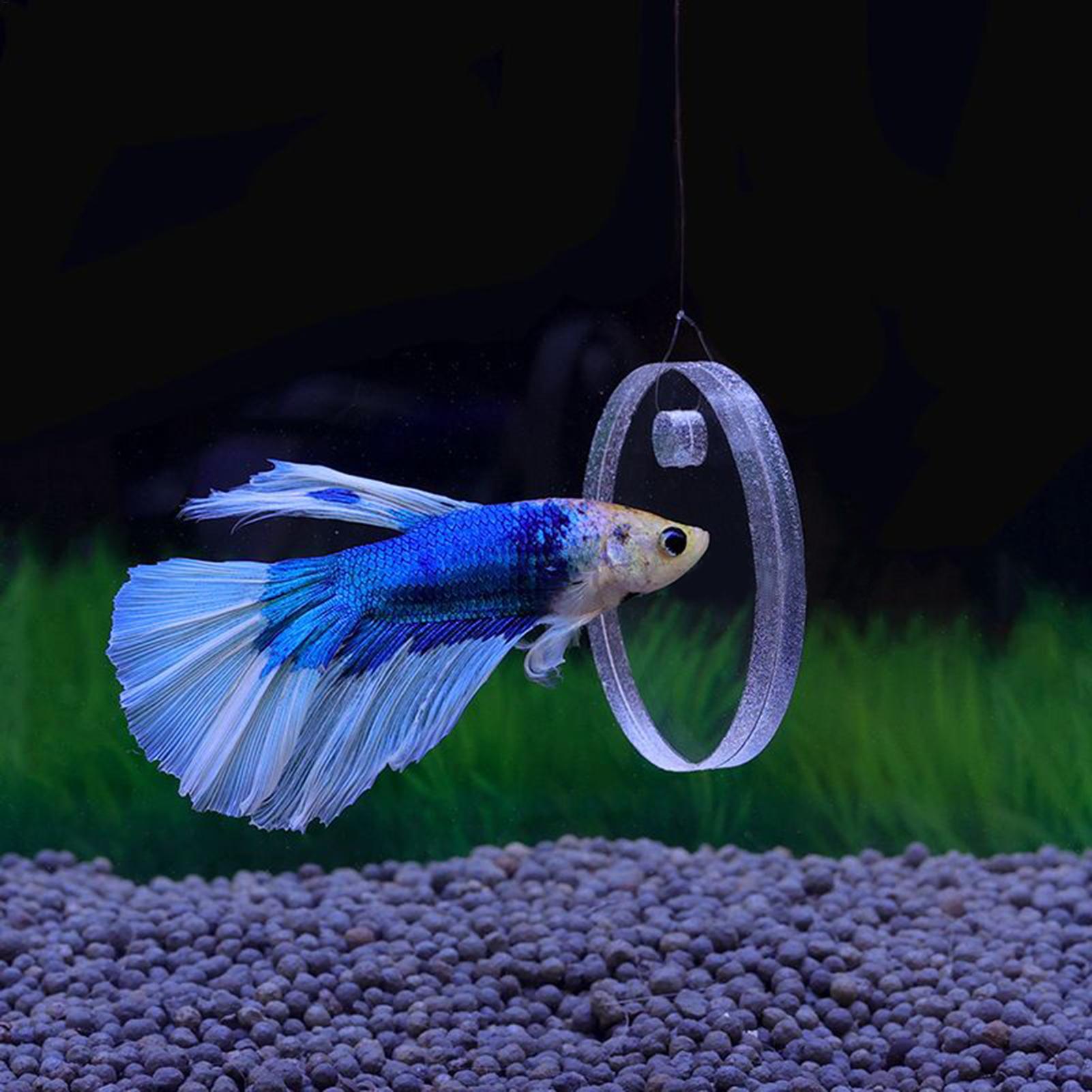 2Pcs Floating Feeding Ring Wit - Aquarium Fish Guppy recension och pris