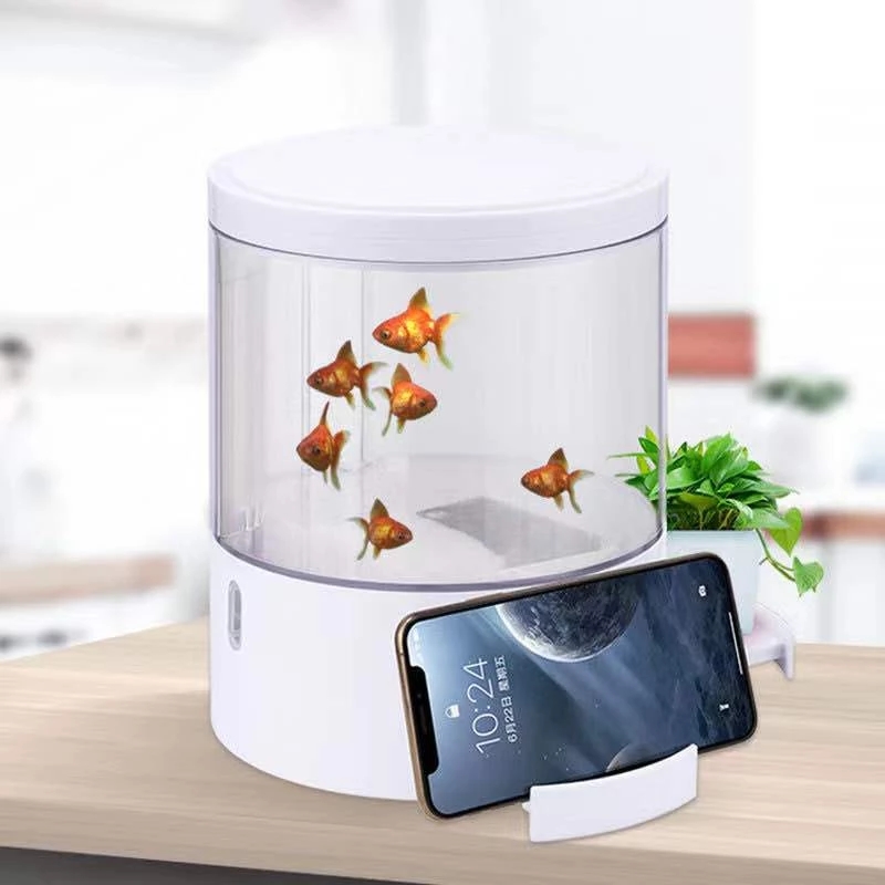 Round colorful lights desktop  - Aquarium Fish For Sale recension och pris