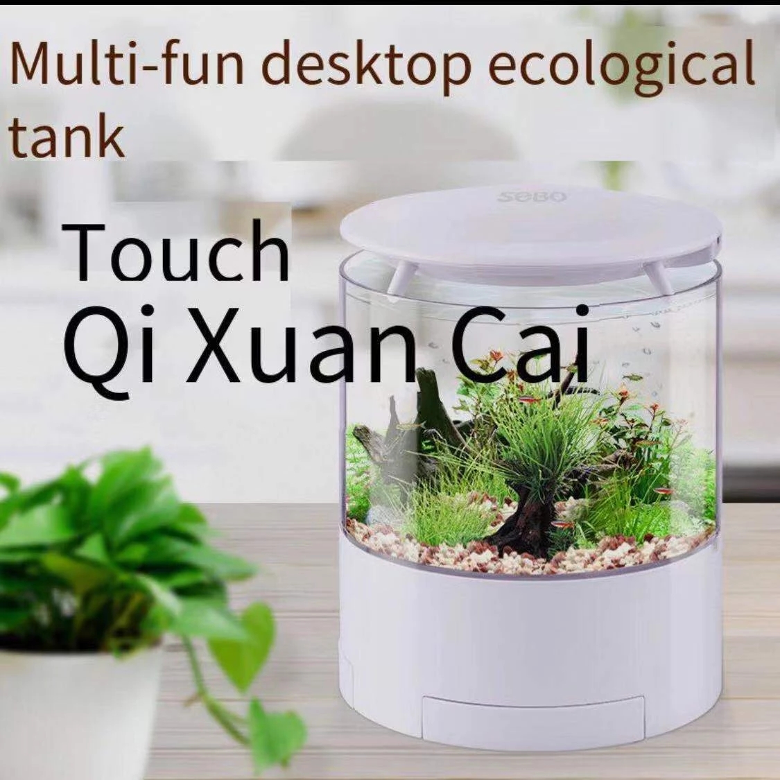 Round colorful lights desktop  - Aquarium Fish For Sale recension och pris