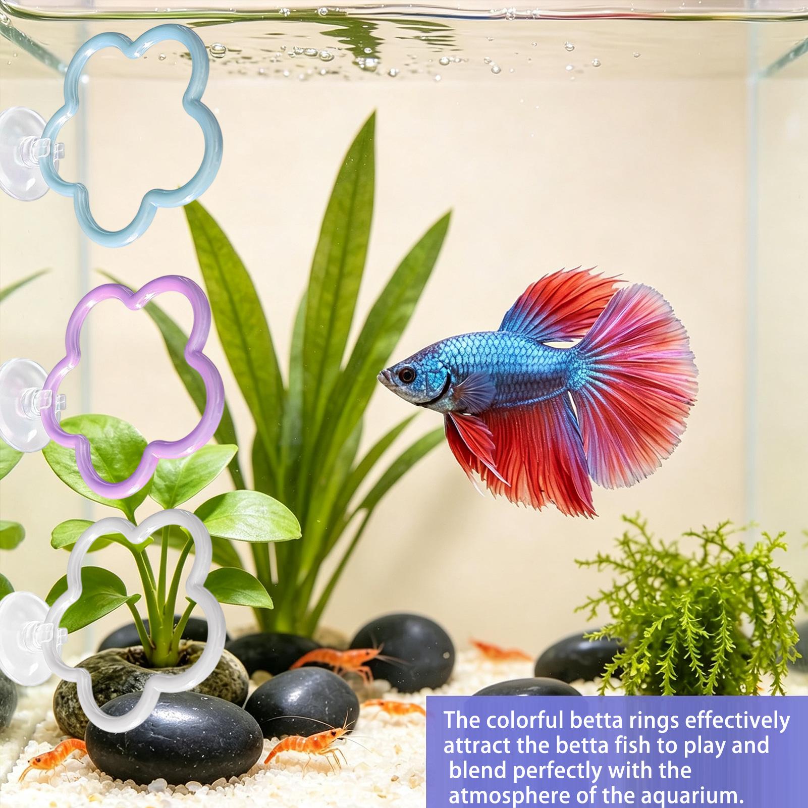 Betta Toys For Aquarium 5 Piec - Fish Toy In Aquarium recension och pris