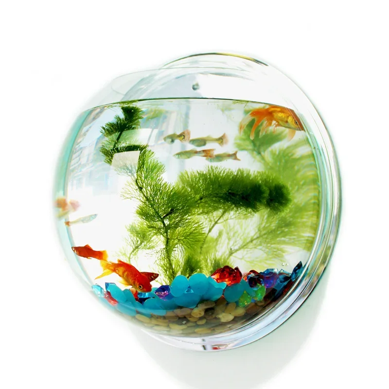Pinsjar Acrylic Fish Bowl Wall - Aquarium Fish In Bowl recension och pris