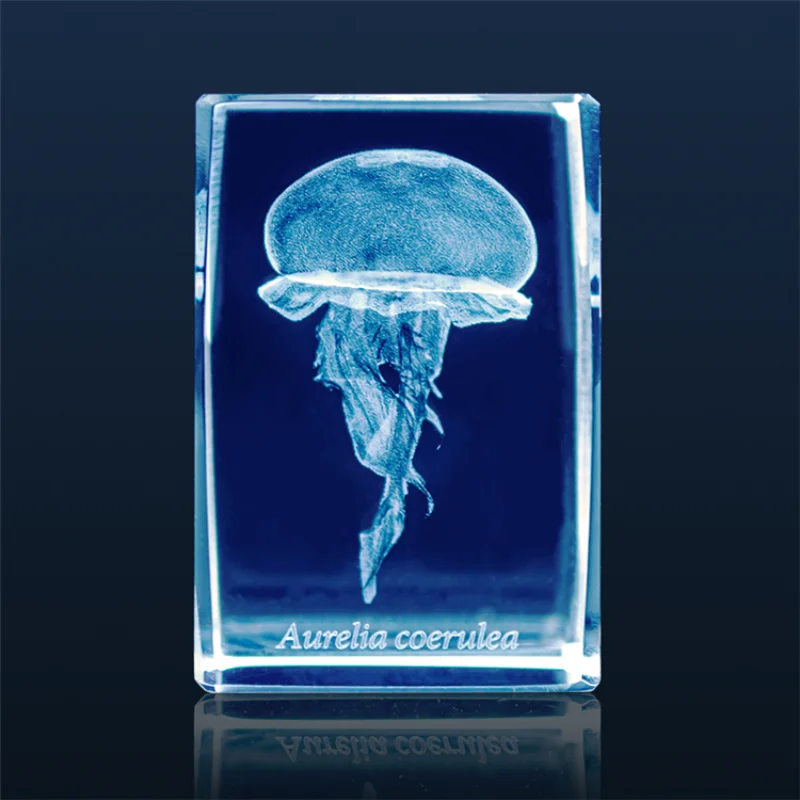Japan Gashapon Jellyfish 3D Cr - Aquarium Fish Keeping recension och pris