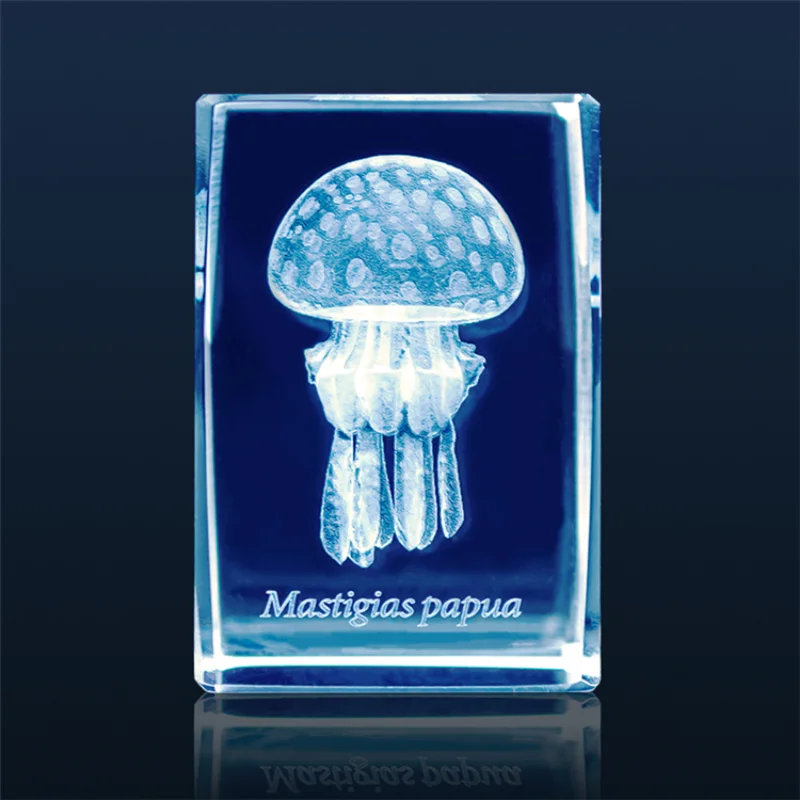 Japan Gashapon Jellyfish 3D Cr - Aquarium Fish Keeping recension och pris