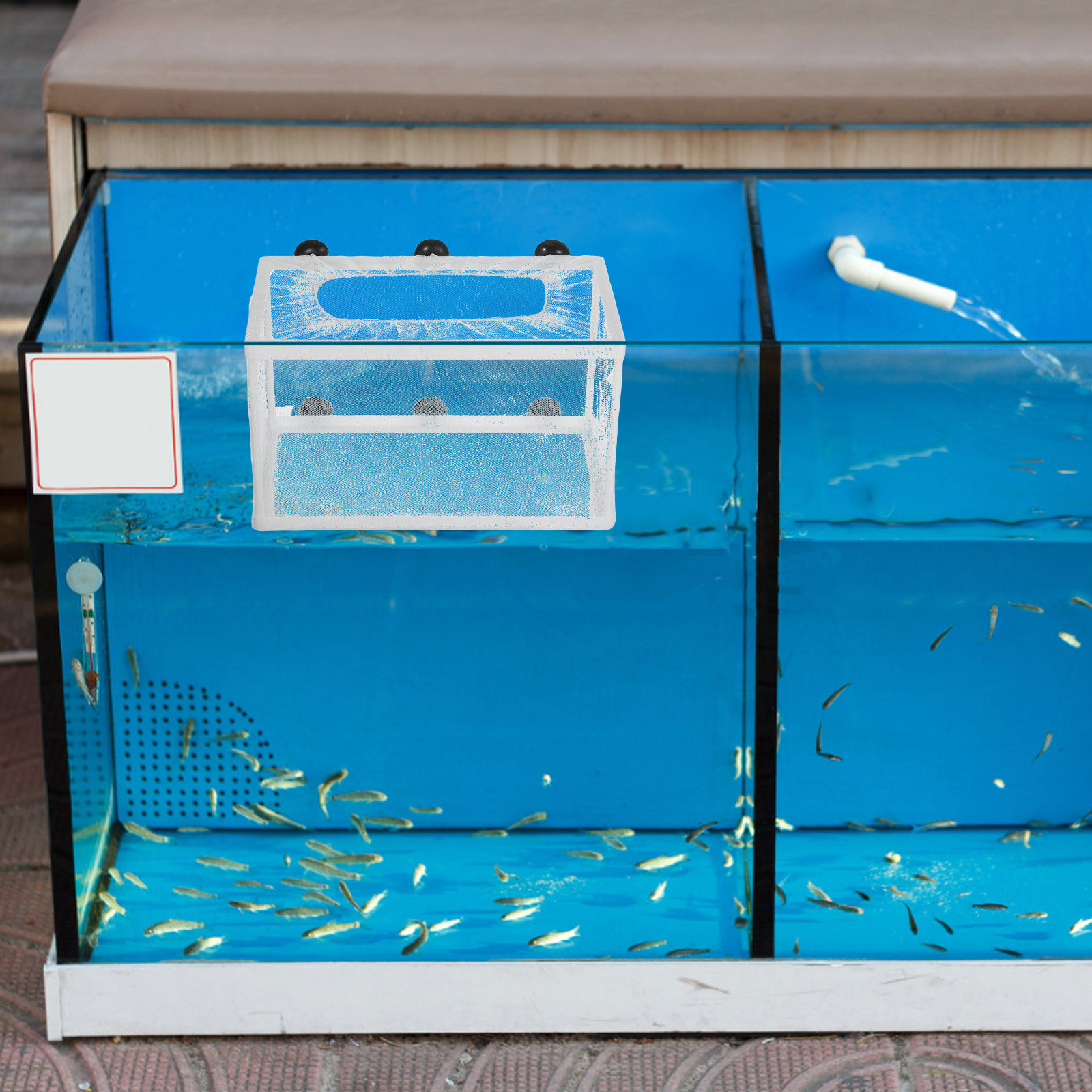 Fish Net Big Size Fry Hatchery - Aquarium Fish Net Big Size recension och pris
