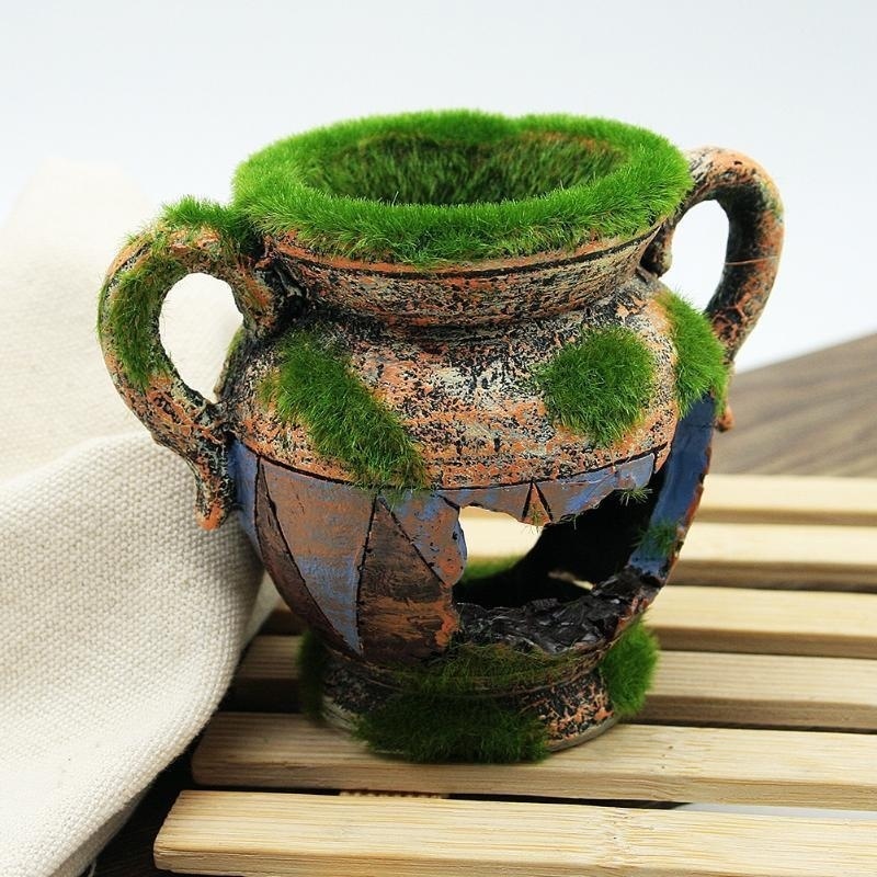 1pc Resin Vase with Moss Aquar - Aquarium Fish For Sale Online recension och pris