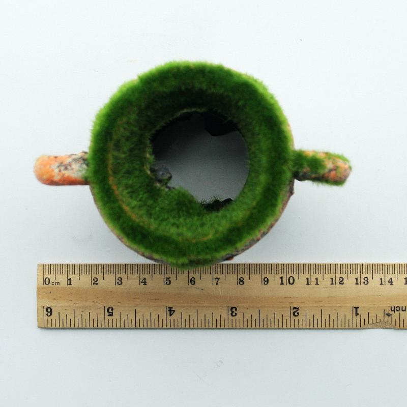 1pc Resin Vase with Moss Aquar - Aquarium Fish For Sale Online recension och pris