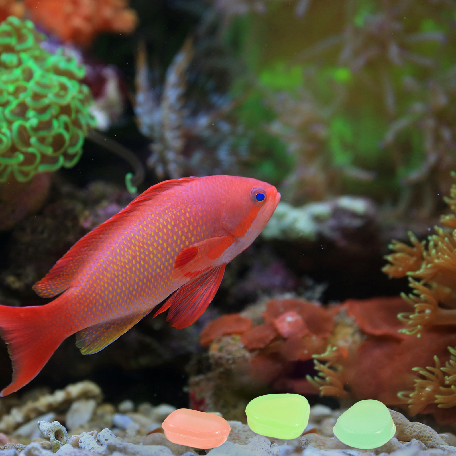 400Pcs Glow in The Dark Pebble - Aquarium Fish That Glow In The Dark recension och pris