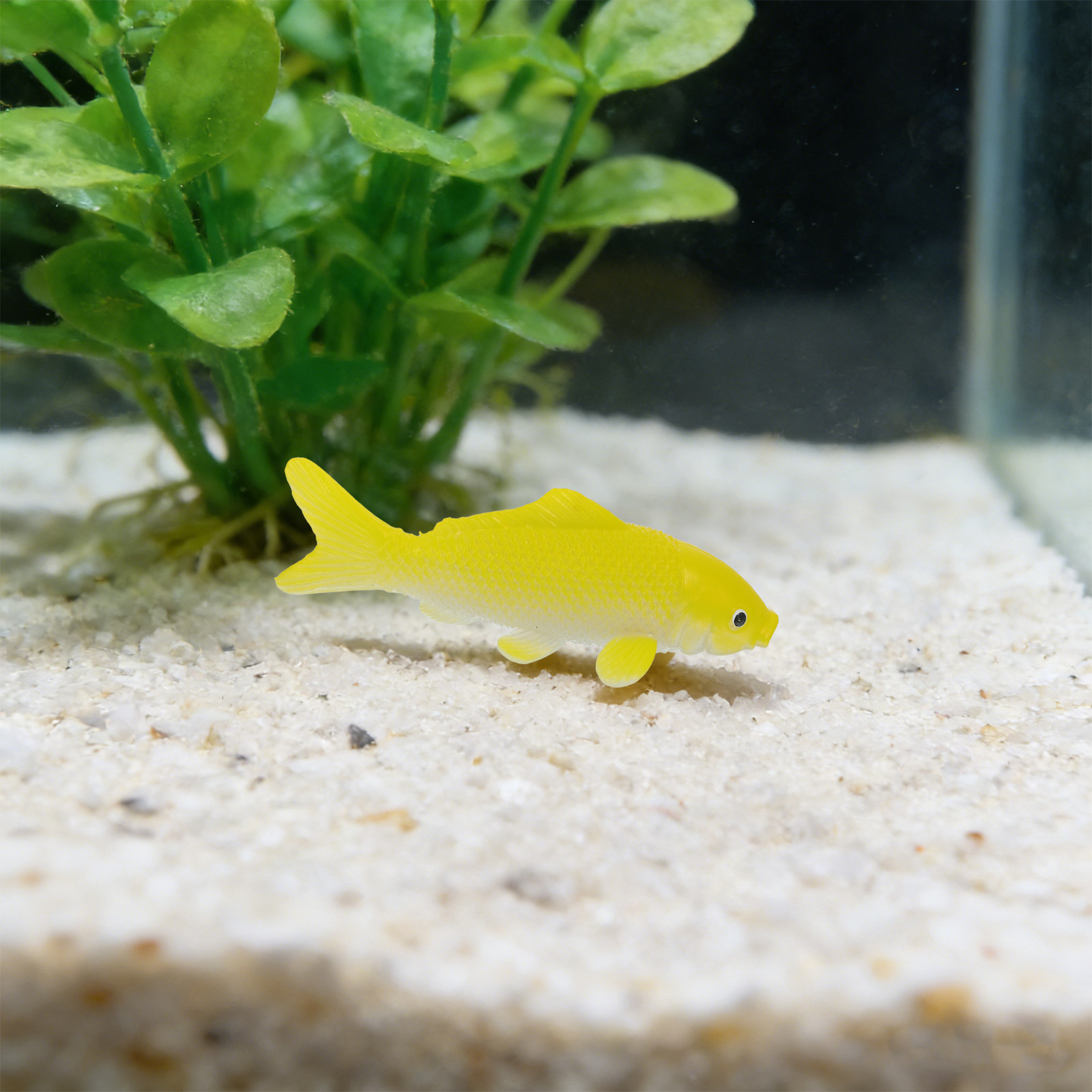 3pcs Fish Crafts Toys Realisti - Fish Toy In Aquarium recension och pris
