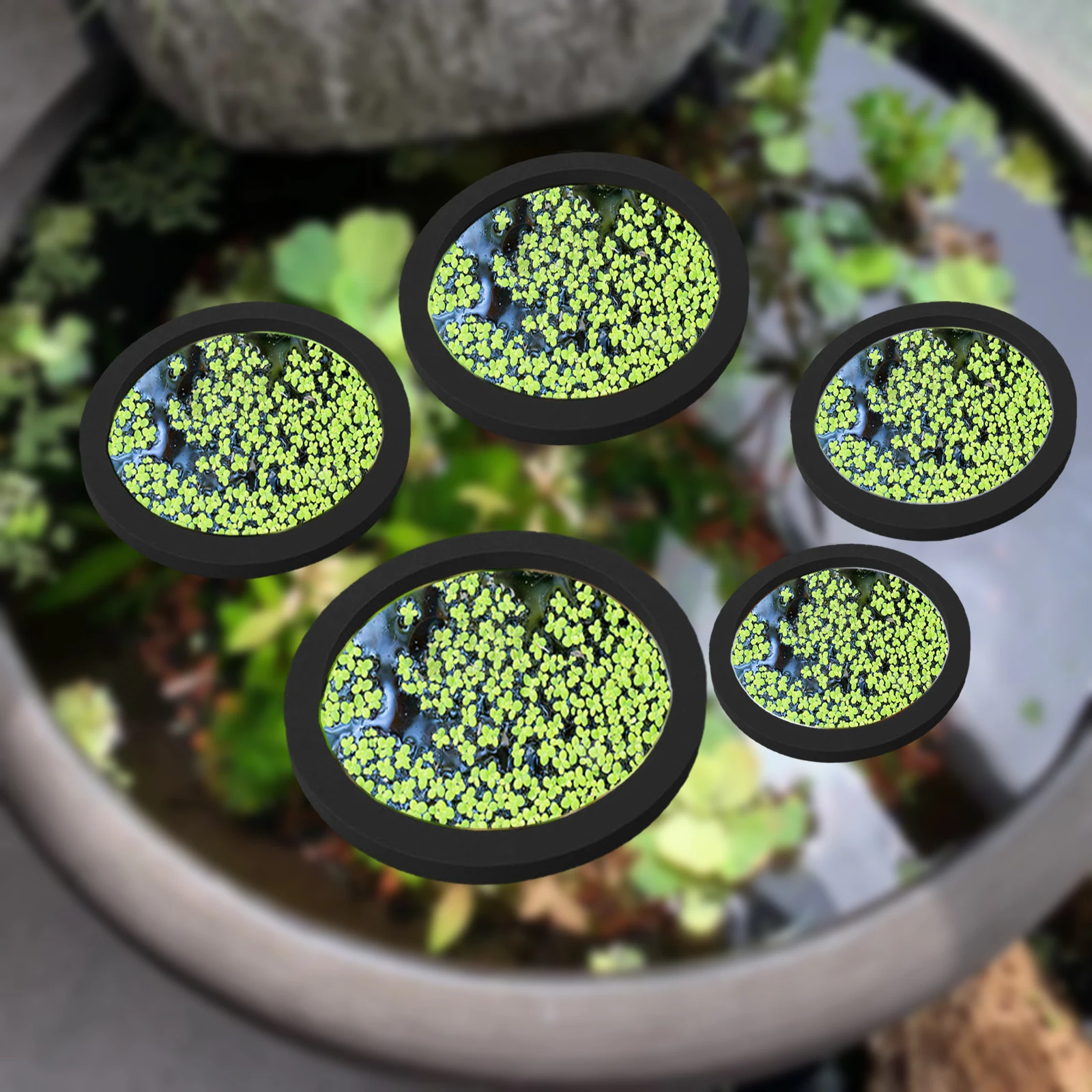 5Pcs EVA Fish Feeding Ring Aqu - Aquarium Fish Farm recension och pris