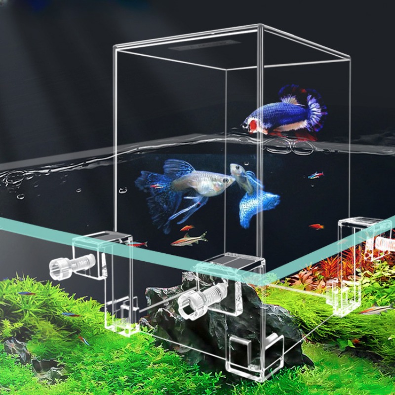 Creative Aquarium Tanks Negati - Aquarium Fish In Bowl recension och pris
