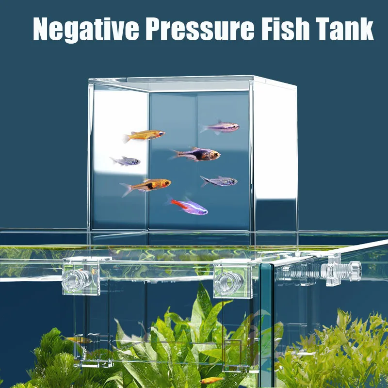 Creative Aquarium Tanks Negati - Aquarium Fish In Bowl recension och pris