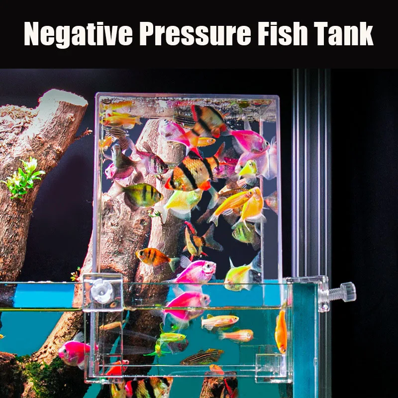 Creative Aquarium Tanks Negati - Aquarium Fish In Bowl recension och pris